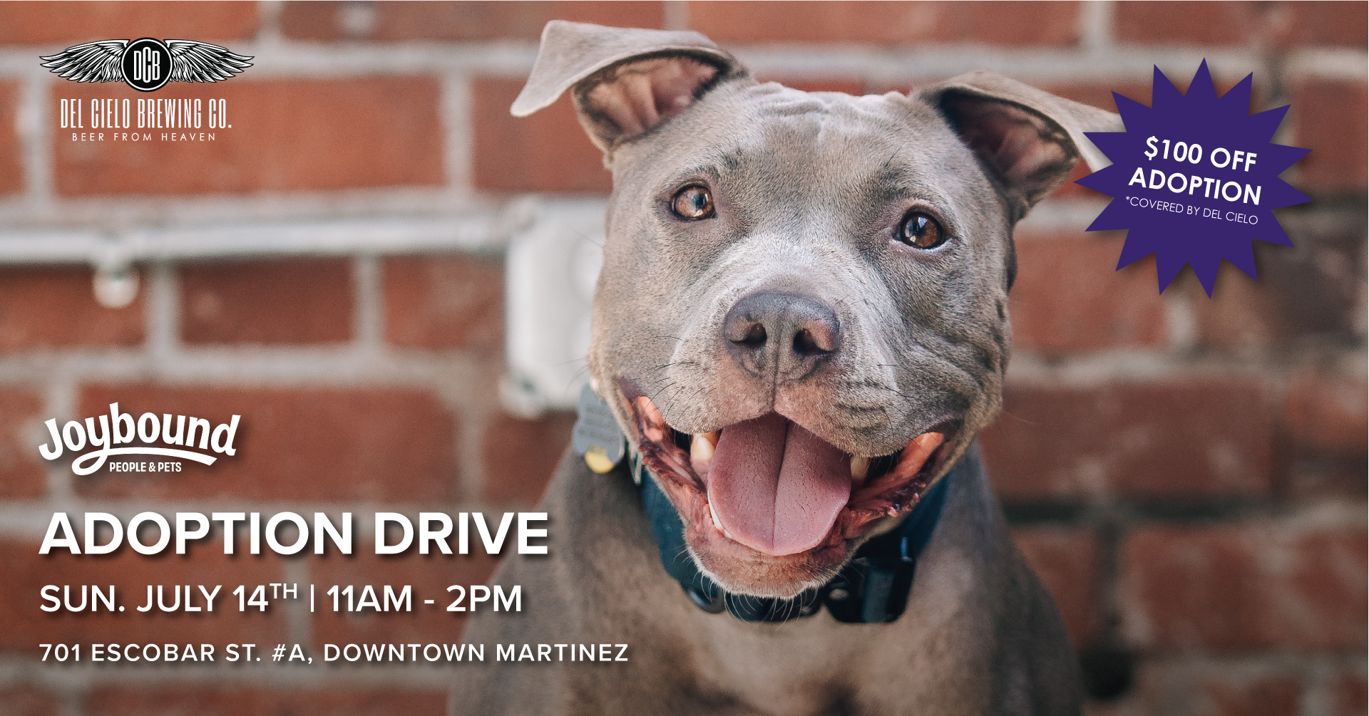 adoption drive july 14th - del cielo covers $100 of adoption