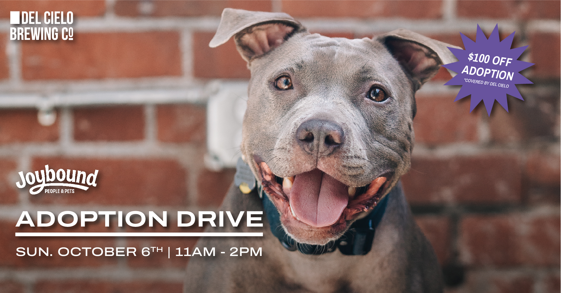 joybound adoption drive 11am