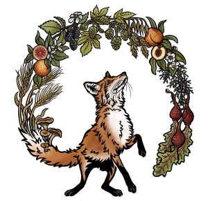fox tail fermentations