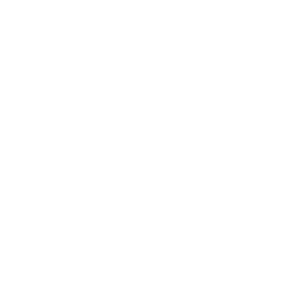 DEL PUEBLO CERVECERIA