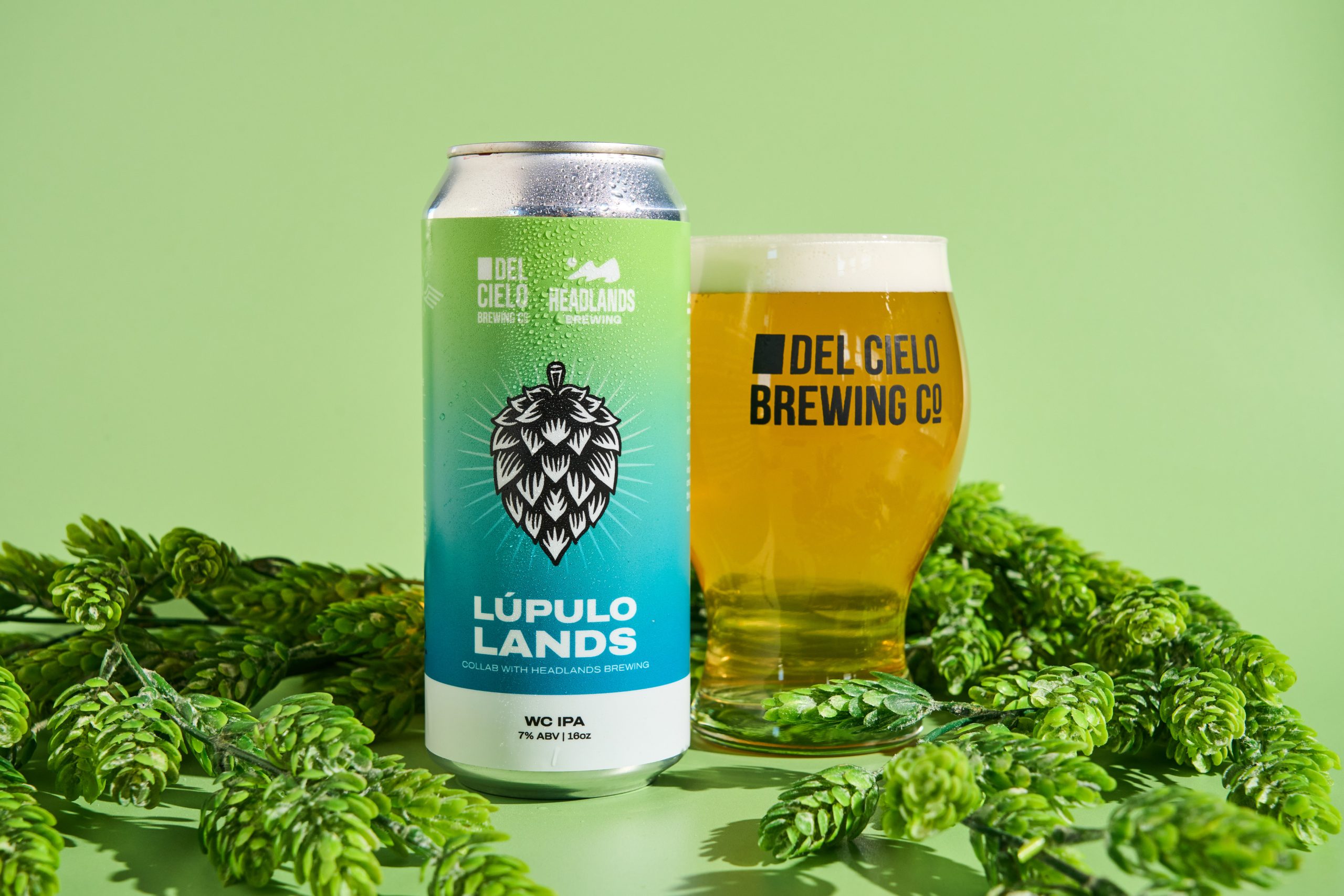lupulo lands collab IPA with headlands for lupulo fest